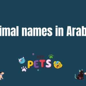 Animals names in Arabic