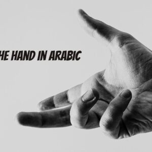 Hand parts in Arabic